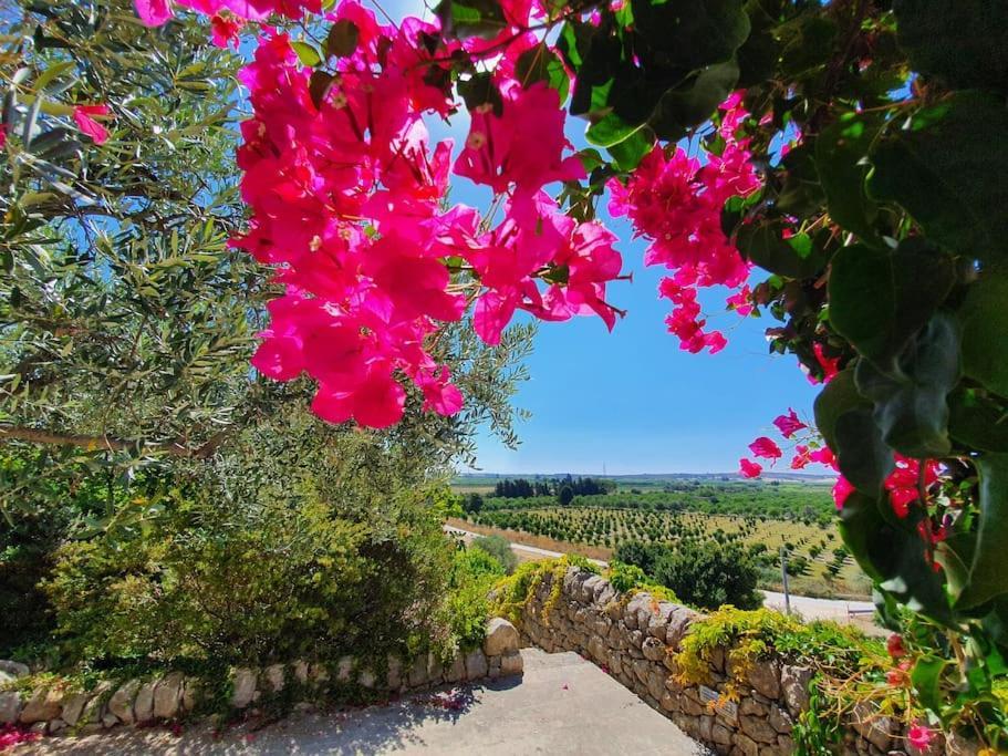 Villa Calma Noto Exterior photo